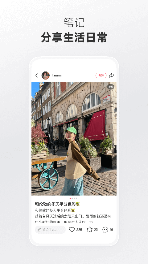 热带雨林中藤蔓与瀑布的壁纸